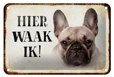 Produktbild von Blechschild Spruch 18x12cm holländisch Hier Waak ik Französische Bulldogge