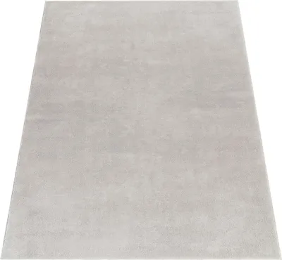 Produktbild von Moderner Wohnzimmer Teppich Kurzflor Waschbar Weich Felloptik Anti-Rutsch Grösse 120x160 cm