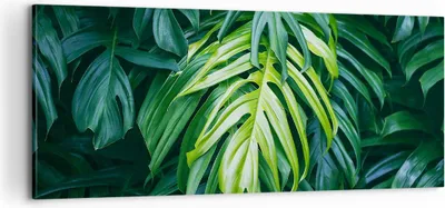 Produktbild von Bild auf Leinwand - Leinwandbild - Blume Natur - 100x40cm - Wand Bild - Wanddeko - Wandbilder - Leinwanddruck - Bilder - Kunstdruck - Wanddekoration - Leinwand bilder - Wandkunst - AB100x40-3951