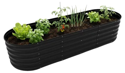 Image de Jardin surélevé en métal galvanisé pour plantes et légumes