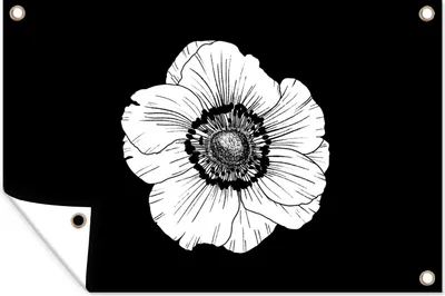 Produktbild von MuchoWow® 60x40 cm Outdoor-Poster Gartendeko Sichtschutz Garten Poster für den Garten  Mohn - Blumen - Vintage - Natur - Blumenkraft