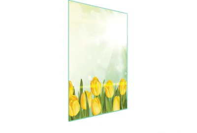 Obrázok produktu pre Sklenená doska na krájanie 35x52 tulipánov
