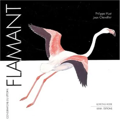 Image de Flamant