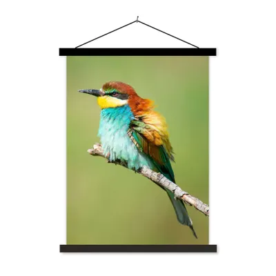 Produktbild von MuchoWow® Textilposter Vogel - Tiere - Bienenfresser 90x120 cm mit schwarzem Rahmen - Dekoration