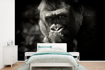Produktbild von MuchoWow® Fototapete für Wohnzimmer oder Schlafzimmer Wandtapete Vinyl Motivtapete Gorilla auf schwarzem Hintergrund in Schwarz und Weiß - 390x260 cm - Papiertapete