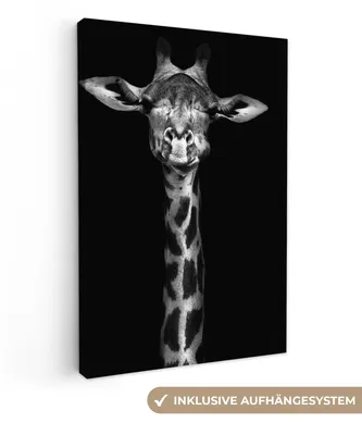 Produktbild von MuchoWow® - Leinwandbilder - Giraffe - Porträt - Tiere - Schwarz - Weiß, Wandbild, Wanddeko Bilder Wohnzimmer, 20x30 cm
