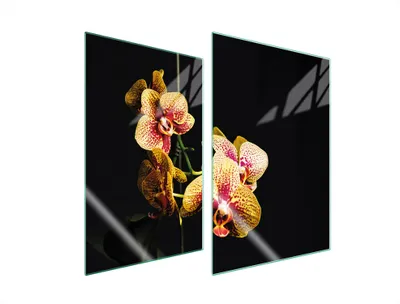 Obrázek produktu pro Kryt varné desky 2 kusy 35x52 keramický kryt varné desky skleněná deska na krájení orchidej černá