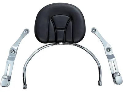 Produktbild von Kuryakyn Revolution Gl1800 Rückenlehne Silber  Silber One Size