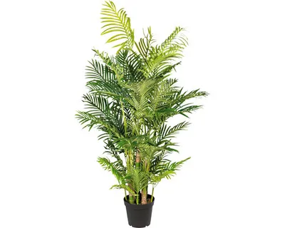 Produktbild von Kunstpalme Arecapalme H 170 cm grün
