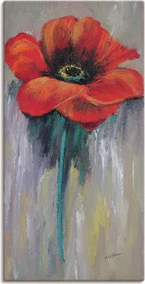 Produktbild von ARTland Leinwandbild Roter Mohn II Größe: 20x40 cm