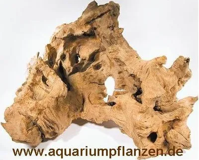 Produktbild von 1 Mooreichenwurzel 20-30 cm Wurzel, Aquarium, Moor