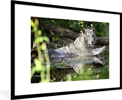 Produktbild von MuchoWow® MuchoWow® Gerahmtes Poster Weißer Tiger im Wasser 90x60 cm - Poster mit zchwarzem Bilderrahmen - Wanddekoration - Fotos