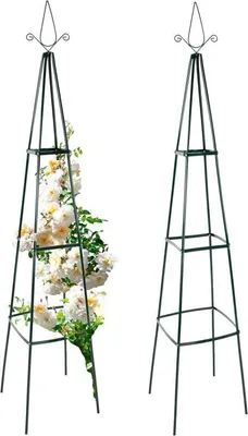 Obrázek produktu pro Kovová opora pro popínavé rostliny 195 cm, sada 2 ks