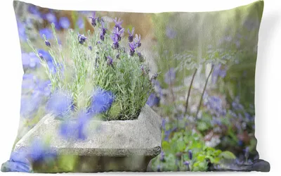 Produktbild von MuchoWow® Outdoor Kissen - Nahaufnahme von Lavendel in einem Garten - 60x40 cm - Wetterfest - Lounge Kissen - Zierkissen - Kissen für Innenräume