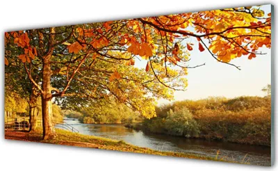 Produktbild von Acrylglasbilder 125x50 Wandbild Druck Baum See Natur