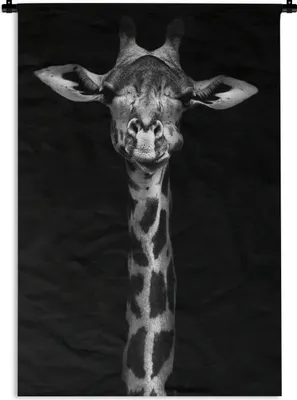 Produktbild von MuchoWow® Wandteppich Wandbehang Giraffe - Porträt - Tiere - Schwarz - Weiß 90x135 cm Tapisserie Dekoration Wandtuch - Baumwolle - Wandskulptur