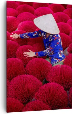 Produktbild von Bild auf Leinwand - Leinwandbild - Einteilig - Trocknen Weihrauch Vietnam - 80x120cm - Wand Bild - Wanddeko - Wandbilder - Leinwanddruck - Wanddekoration - Leinwand bilder - Wandbild - PA80x120-4655