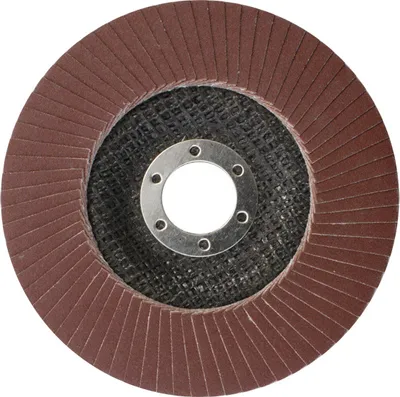 Image de 115 mm Fächerscheiben Lamellenscheiben Schleifscheiben 115x22,2 mm Körnung 240
