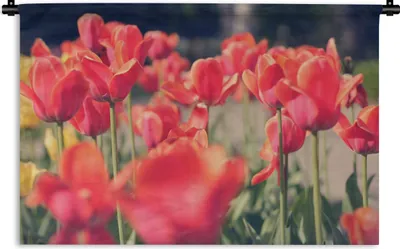 Produktbild von MuchoWow® Wandteppich Wandbehang Tulpen - Blumen - Natur 90x60 cm Tapisserie Dekoration Wandtuch - Wandskulpturen - Bildteppich