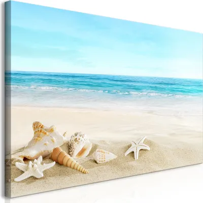 Produktbild von Wandbild Mega XXXL Strand und Meer 250x125 cm Einteiliger XXL-Format Kunstdruck zur Selbstmontage Leinwandbilder moderne Bilder DIY Wanddekoration Wohnung Deko Muscheln Natur c-B-0528-ak-e