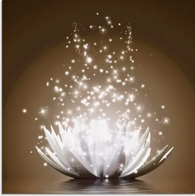 Produktbild von Vadim Georgiev: Magie der Lotus-Blume braun - Glasbild, Größe:30x30 cm / Glasbild