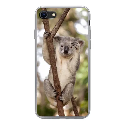 Produktbild von MuchoWow® Handyhülle Schutzhülle Hülle für iPhone 8 Koala - Äste - Tier - Kinder - Jungen - Mädchen Silikon Softcase Handy Hülle - Schutzhaube