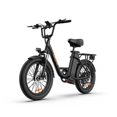 Produktbild von Erwachsenen-Elektrofahrrad URLIFE E20, 250-W-Motor, Elektrofahrrad-Akku 48 V / 13 Ah, 20-Zoll-Fettreifen, Gelände- und Stadt-E-Bike
