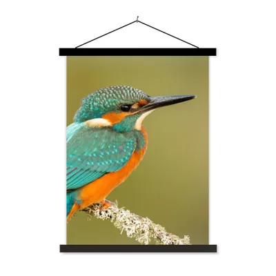 Produktbild von MuchoWow® Textilposter Eisvogel - Tiere - Vogel 40x53 cm mit schwarzem Rahmen - Abbildung
