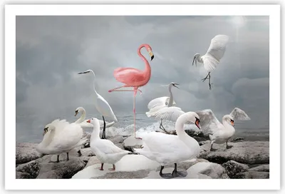 Produktbild von Poster - Poster ohne Rahmen - Flamingo Schwan Fantasie - 91,5x61 cm - Wand Bild - Wanddeko - Wandbilder - Kunstposter - Wandposter - Bilder - Kunstdruck - Wanddekoration - Wandbild - P2XAA91x61-4929