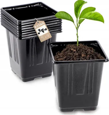 Produktbild von KADAX Blumentopf für Setzlinge "Corse", Anzuchttöpfe aus Kunststoff, Saattöpfe anzucht, quadratische, 9 cm, 9 Stück