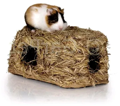 Produktbild von Naturgras Heu Stroh Nager Tunnel Haus Nest Höhle
