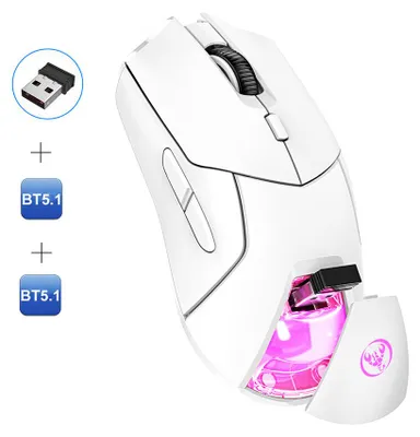 Image de HXSJ T40 Souris de jeu sans fil 2,4 G double BT5.1 rechargeable avec trois modes, 4000 DPI, souris e-sport réglable, lumière RGB cool, blanc