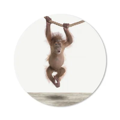 Produktbild von MuchoWow® Mauspad Mousepad Affe - Tiere - Kinder - Orang Utan - Jungen - Mädchen 20x20 cm - Mousepads - Maus Mat - Pad - Mausunterlage - Schreibtischmatte