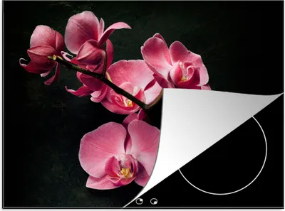 Produktbild von KitchenYeah© Herdabdeckplatte Pflanzen - Orchidee - Blumen - Rosa , 70x52cm, Küche Deko, Glaskeramikkochfeld Herdabdeckung, Abdeckplatte fùr Kochfeld