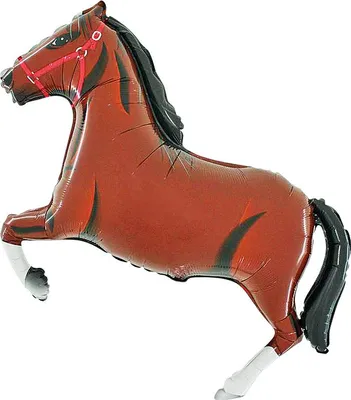 Produktbild von Folienballon „Black Horse“ 21", 1 Stk.
