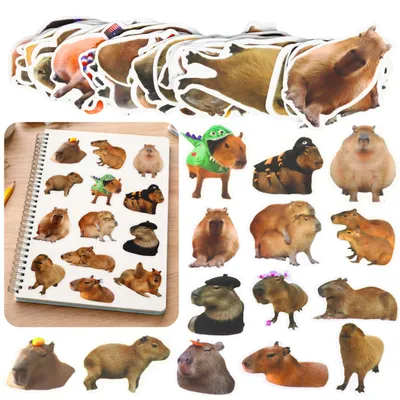 Obrázok produktu pre Sada papierových nálepiek Capybara Skutočné obrázky 50 ks.