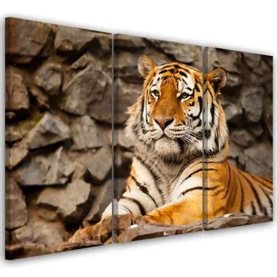 Produktbild von Triptychon auf leinwand tiere - orange 150x100 cm Feeby orange wandbild bereit zum aufhängen