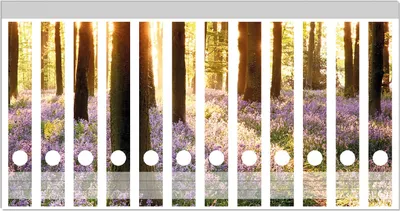 Produktbild von Wallario Ordnerrücken Sticker, selbstklebend für schmale Ordner, 12 Stück, Motiv Blaue Hasenglöckchen im Wald mit Sonnenstrahlen