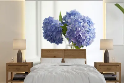 Produktbild von MuchoWow® Fototapete für Wohnzimmer oder Schlafzimmer Wandtapete Vinyl Motivtapete Blaue Hortensien in Vase - 240x240 cm - Schlafzimmer-Tapete