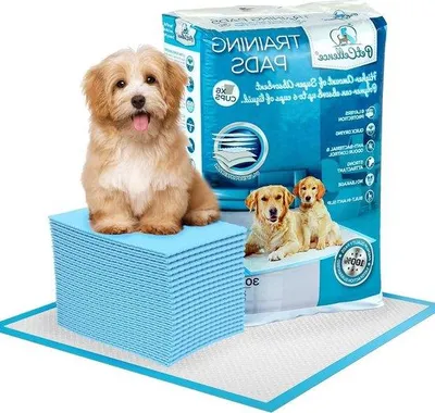 Produktbild von Famanu Welpenunterlagen 30 Stück - Große superabsorbierende Hundetoilettentrainingsunterlagen - 60x60 cm