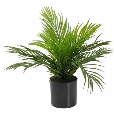 Image de EUROPALMS Palmier à fruits d'or, plante artificielle, 46 cm (82509400)