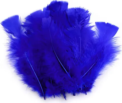 20 Natur-Putenfedern, 11-17cm, Farbwahl, unterschiedliche Farben - DIY Deko Federn königsblau