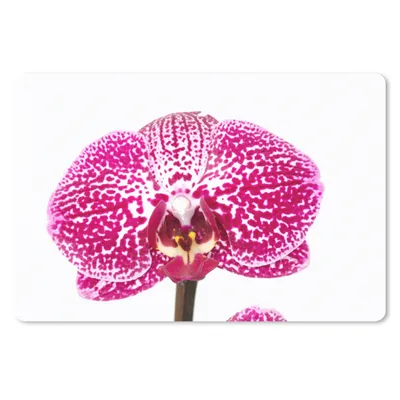 Produktbild von MuchoWow® Mauspad Mousepad Orchidee rosa 27x18 cm - Mousepads - Maus Mat - Pad - Mausunterlage - Büroartikel - Desk Matten
