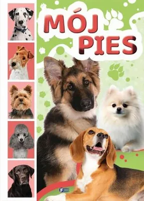 Produktbild von Mein Hund