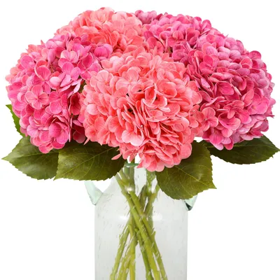 Produktbild von Kunsthortensien Bouquet - Realistische Kunstblumen mit echtem Gefühl - Modell yxqhs