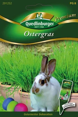 Produktbild von Ostergras | Ostergrassamen von Quedlinburger Saatgut