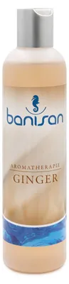 Produktbild von Banisan Badezusatz Ginger, Aromatherapie 250 ml, ergiebig, nicht schäumende Rezeptur für Whirlpools