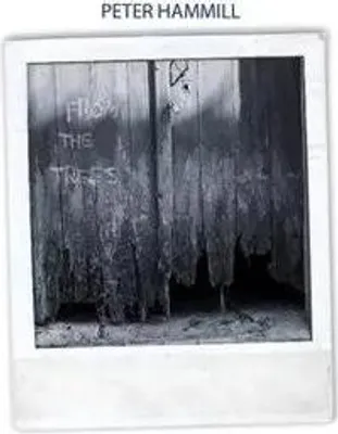 Produktbild von From The Trees
