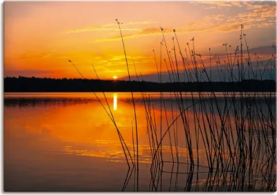 Produktbild von ARTland Leinwandbild Landschaft mit Sonnenaufgang Größe: 70x50 cm