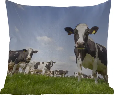 Produktbild von MuchoWow® Outdoor Kissen - Kühe - Gras - Tiere - Sonne - Bauernhof - 40x40 cm - Wetterfest - Lounge Kissen - Kopfkissen - Interieur - Polster mit Bild